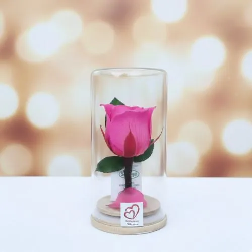 Flowers and gifts for her delivery in Gurgaon