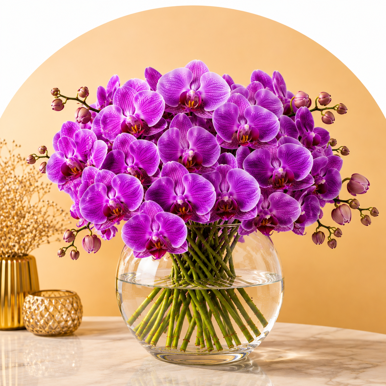 Orchids