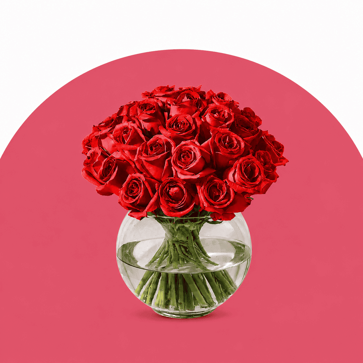 Roses